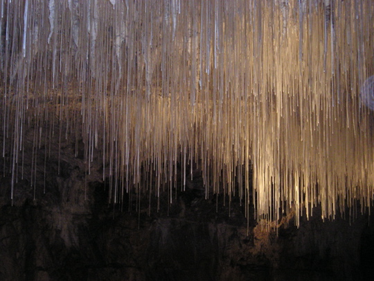 P1010420.jpg