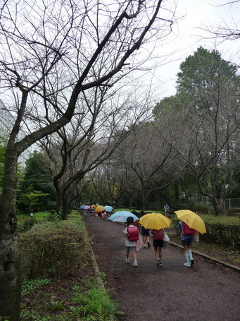 resized_392748732_tsukuba185.jpg