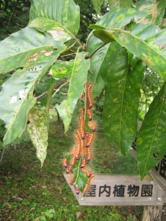 resized_IMG_4212.jpg