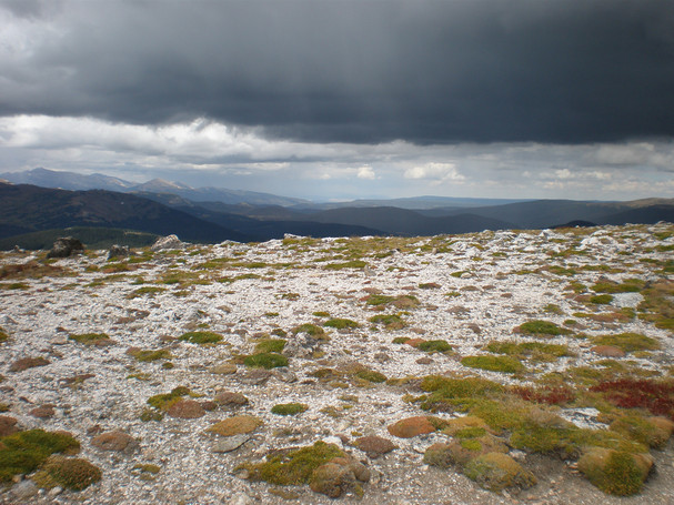 resized_P8260277.JPG